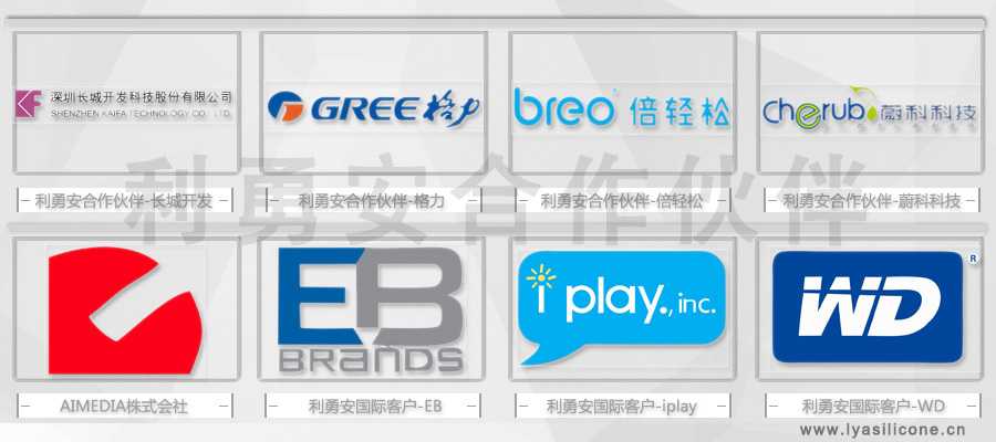 利勇安國內外合作伙伴